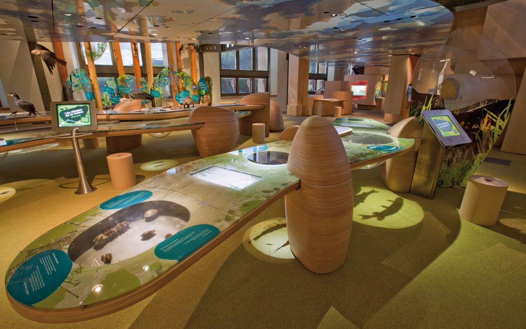 2010 – Galerie des enfants, Mnhn, Paris